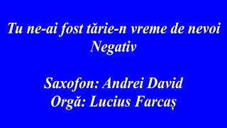 NEGATIV  TU NEAI FOST TARIEN VREME DE NEVOI [upl. by Symon909]