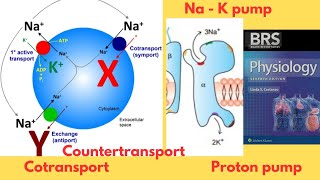 BRS Physiology  Transport across the Cell Membrane  Active transport  NaK Pump  FCPS Part1 [upl. by Tristan]