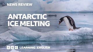 Antarctic ice melting BBC News Review [upl. by Allehcram]