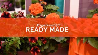 IPM 2020  3 Ready Made [upl. by Igig778]