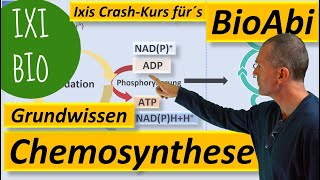 Chemosynthese  Grundwissen und Keywords zum Stoffwechsel chemoautotropher Organismen Bio Abitur [upl. by Marella]