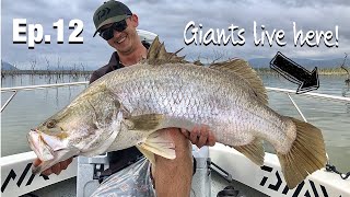 LAKE PROSERPINE BARRAMUNDI  Peter Faust dam [upl. by Ennagrom]