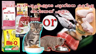 പേർഷ്യൻ പൂച്ചകൾക്ക് ഏത് ഫുഡ് കൊടുക്കണം   Persian cat best food brand with result  TIPS [upl. by Nail482]