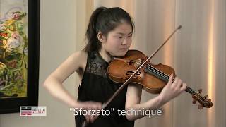 VIOLIN MASTERCLASS excerpt YSAYE SONATA No 6  SFORZATO CLIMAX [upl. by Vassaux]