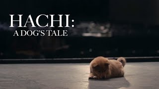 Hachi A Dogs Tale Ambience amp Music [upl. by Trudey708]