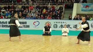 Shorinji Kempo embu 4 [upl. by Arimlede]