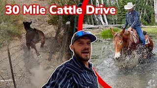 Herding Cattle Isnt Always Easy Vlog 45 [upl. by Annij477]