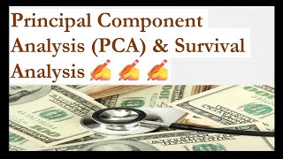 PCA ampsurvival analysisprincipalcomponentpcasurvivalpythonprogrammingfinanceregressionanalysis [upl. by Enitsirc848]