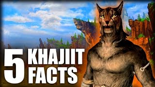 Skyrim  5 Khajiit Facts  Elder Scrolls Lore [upl. by Eillek]