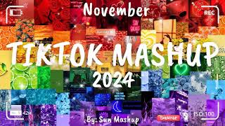 Tiktok Mashup November 💙2024💙 Not Clean [upl. by Yduj]