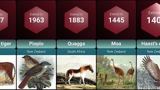 Extinct Animals Lost to History Due to Human Activity [upl. by Elleniad850]