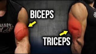 BEST TRAINING BICEPSTRICEPS [upl. by Noffets]