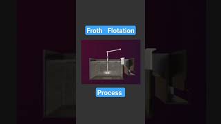 Froth Flotation process  class 12 chemistry  metallurgy  vk chemistry lab [upl. by Paddy491]