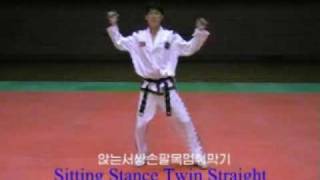 YonGae Tul new techniques and pattern [upl. by Kall]