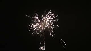 SAVAGE 100 SHOTS by Diamond Firework Liverpool [upl. by Sikes100]