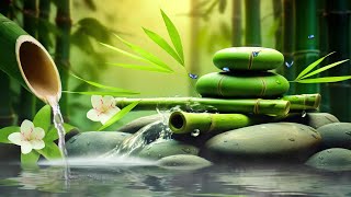 Relaxing Sleep Music  Insomnia Stress Relief Relax Sleep Spa amp Meditation Music Heart Healing [upl. by Ragas]