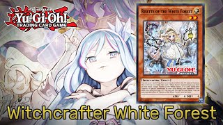 YuGiOh Witchcrafter of the White Forest Post The Infinite Forbidden Deck Replay Video EdoPRO [upl. by Emmuela977]