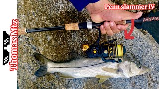 PESCA de ROBALO con CARNADA VIVA  fishing trending pesca [upl. by Rap]