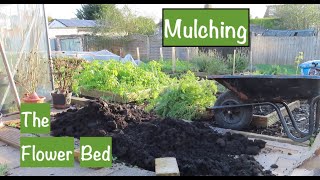 Mulching The Flower Bed At The Plot  ALLOTMENT LIFE Vlogmas Day 4 [upl. by Morty]