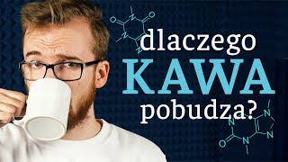 Dlaczego kawa nas POBUDZA [upl. by Poliard]