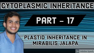 CYTOPLASMIC INHERITANCE  CYTOGENE   PLASTID INHERITANCE IN MIRABILIS JALAPA 12TH BIO [upl. by Sharp]