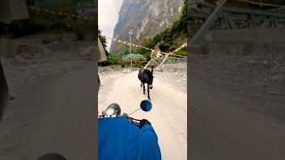 Parka na travel tour viralvideo bridge river music fypシ゚viral trending manang goviral [upl. by Aztirak]