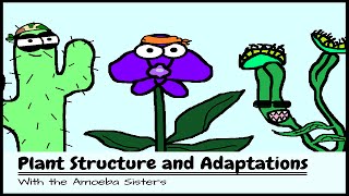 OLD VIDEO Plant Structure and Adaptations [upl. by Mcmullan]