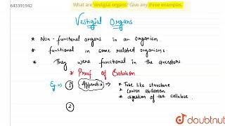 What are Vestigial organs Give any three examples  10  HUMAN EVOLUTION  BIOLOGY  ICSE [upl. by Eilssel]