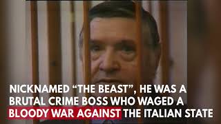 Who was Toto Beast Riina Italy mafia boss of bosses dies at 87 [upl. by Gollin102]