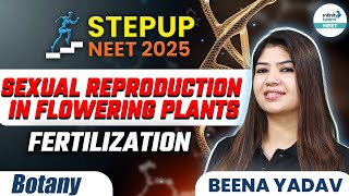 Sexual reproduction in flowering plants Fertilization  Class 12th Botany  NEET 2025 STEPUP [upl. by Tengler677]