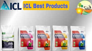 ICL All Product Result PolysulphateStarter BoosterFruitPeakvantSelect Boronate Calcium Nitrate [upl. by Gabel]