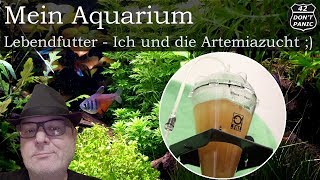 Lebendfutter  Ich und die Artemiazucht   Mein Aquarium 77 [upl. by Richel]