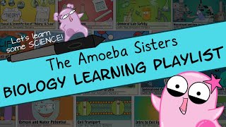 Amoeba Sisters Biology Learning Playlist Introduction [upl. by Nimzzaj]