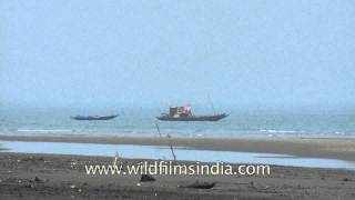 Boat sailing along the coast of Bay of Bengal [upl. by Aiderfla]