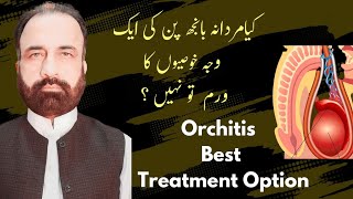 Orchitis explained in Urdu  Epididymoorchitis miasmatic treatment in HomeopathyMale Infertility [upl. by Amyas]