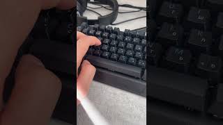 Razer Blackwidow V3 Green switches sound test [upl. by Akcirederf]