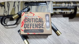 Hornady Critical Defense 410 Triple Defense In A Shotgun Shockingly Good Results [upl. by Erreid]