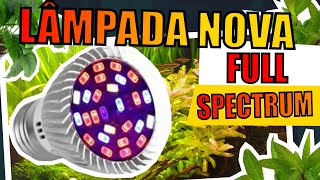 🔴COLOQUEI LÂMPADAS NOVAS NOS MEUS AQUÁRIOS PLANTADOS Mr Betta [upl. by Melburn]