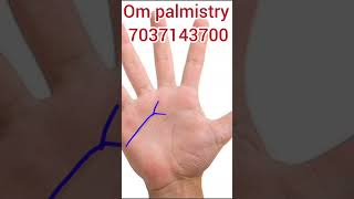 Heart on Your Sleeve The Palmistry Insight [upl. by Sharron]