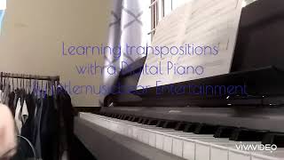 How to transpose using Yamaha Piano [upl. by Allemap]