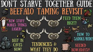 Dont Starve Together Guide Beefalo Taming Revisit  Easier Now Worth It [upl. by Atirb]