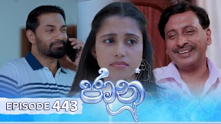 Jaanu  Episode 443  20241105  ITN [upl. by Winne]