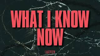 Lakeview  What I Know Now Visualizer [upl. by Dorcas]