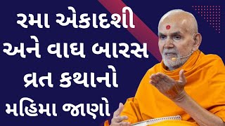 રમા એકાદશી અને વાઘ બારસ વ્રત કથાનો મહિમા જાણો Baps Pravachan 2024 [upl. by Eecyac]