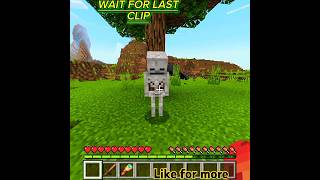 I Help a skeleton in Minecraft shorts ytshorts emotional [upl. by Morice]