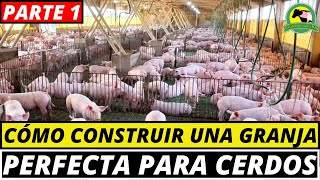 CÓMO CRIAR CERDOS ¿Cómo Se Debe CONSTRUIR Una GRANJA Porcina [upl. by Eusebio]