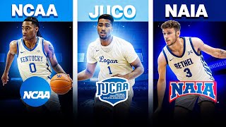 The Different Levels of College Basketball Explained D1D2D3NAIAJUCO [upl. by Eiuqnimod]