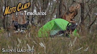 Ep27  Moto camping In The Timberlands  Silent Vlog [upl. by Euqirat]