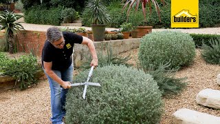 How To Trim Your Hedges With The Garden Master Hedge Shears [upl. by Alegnasor397]