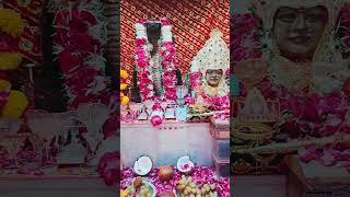 sortssortvideo  Goga Maharaj  Chehar Maa  Jay Goga Chehar Raj  Stusts [upl. by Clio]